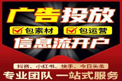 某企业SEM广告投放的转化率提升秘诀